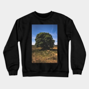 Sally Gap Tree Crewneck Sweatshirt